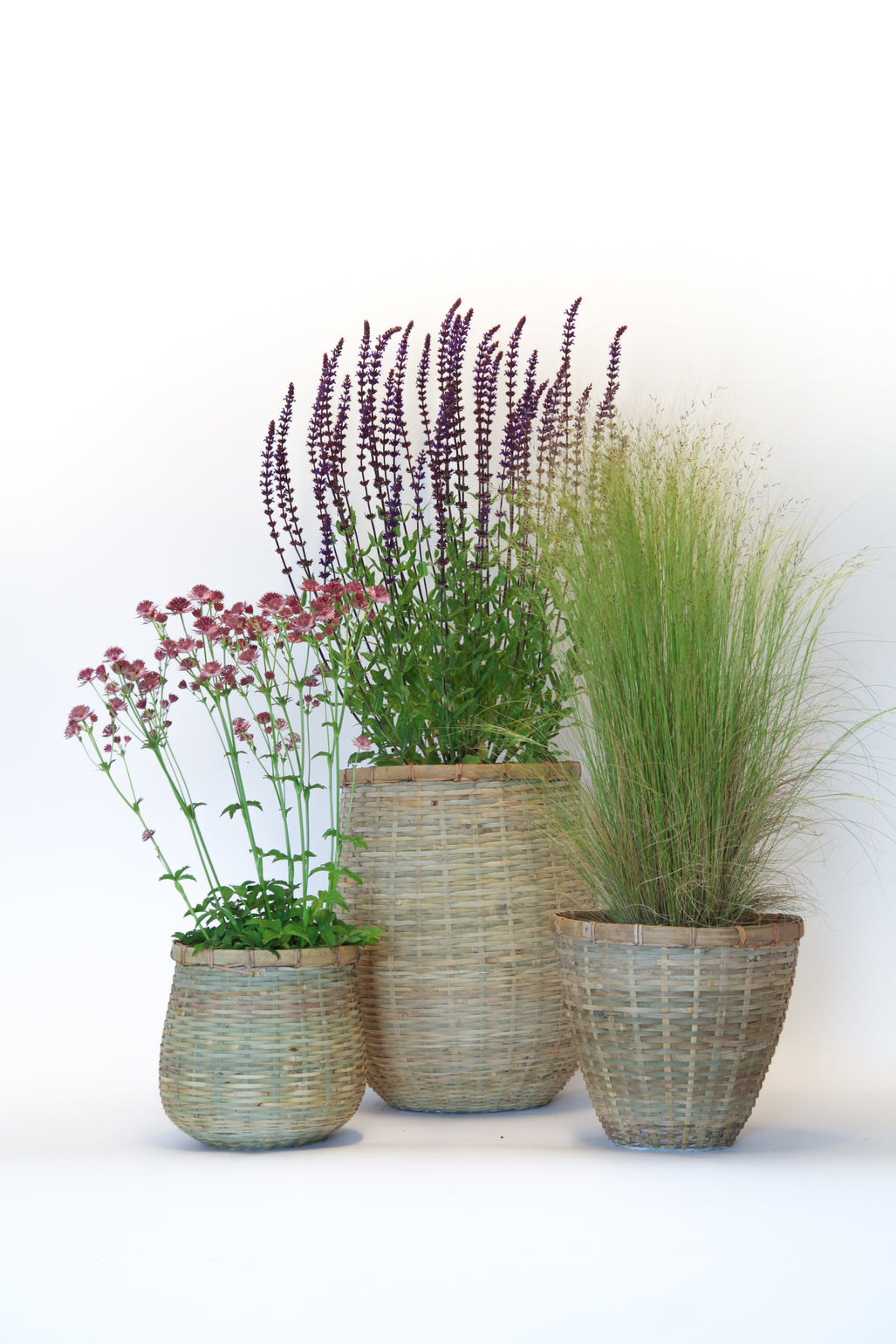 products/Bamboo3potcollection_dd3b1a59-aa39-4795-a103-4d28b05d9288.jpg